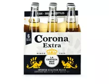 Corona Extra Bier, 6 x 35,5 cl
