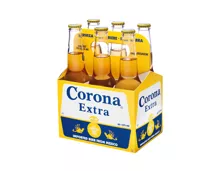 Corona Extra Bier