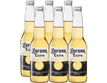Corona Extra Bier