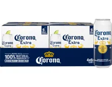 Corona Extra Bier