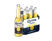 Corona Extra Bier