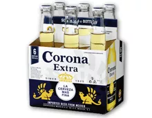 CORONA® EXTRA Bier