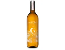 Côtes de Provence AOP Rosé Maison Galoupet (2025) – Roséwein, Frankreich (0.75l)