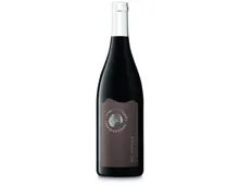 Côtes du Ventoux AOC Terres de Truffes (2023) – Rotwein, Frankreich (0.75l)