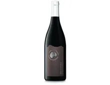 Côtes du Ventoux AOC Terres de Truffes (2024) – Rotwein, Frankreich (0.75l)