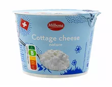 Cottage Cheese