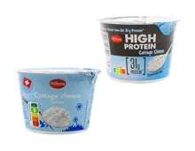 Cottage Cheese​