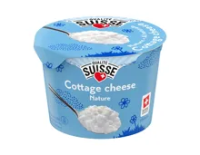 Cottage Cheese
