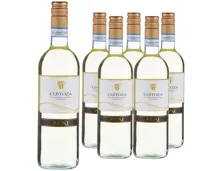 Custoza DOC Zeni Bianco 6x 75cl (2024) – Weisswein, Italien (0.75l)
