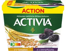 Danone Activia Joghurt Cerealien / Dörrpflaume