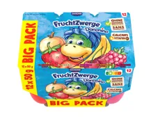 DANONE FruchtZwerge Danonino XXL