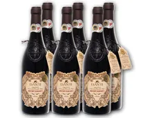 DANTI Negroamaro Salento IGT