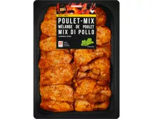 Denner BBQ Poulet-Mix