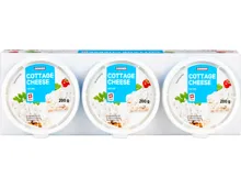 Denner Cottage Cheese