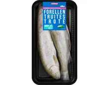 Denner Forellen