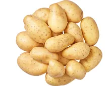Denner Kartoffeln