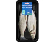 Denner Wolfsbarsch
