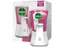 DETTOL Starterset Gartenfrüchte