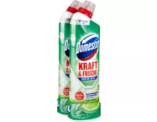 Domestos Aktiv Power WC-Gel Limette