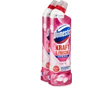 Domestos Kraft & Frische WC-Gel Floral Fresh