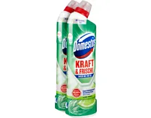 Domestos Kraft & Frische WC-Gel Limette Fresh