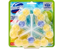 Domestos Power 5 WC-Steine Limette