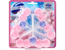 Domestos Power 5 WC-Steine Magnolie