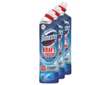 DOMESTOS WC Gel 3x750ml