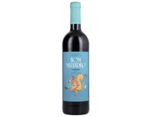 Douro DOC Bom Malandro Symington (2022) – Rotwein, Portugal (0.75l)