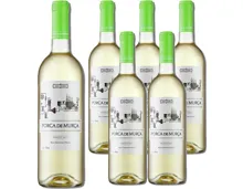 Douro DOC Porca de Murça Branco Real Companhia Velha 6x 75cl (2021) – Weisswein, Portugal (0.75l)