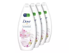 Dove Dusch Reiswasser+Lotusblüte 4x250ml