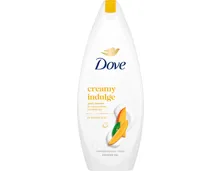Dove Duschgel Creamy Indulge Mango