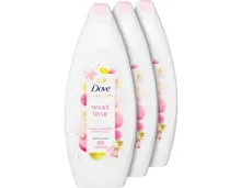 Dove Duschgel Sweet Treat Candy & Gourmet Treats Scent 3 x 250 ml