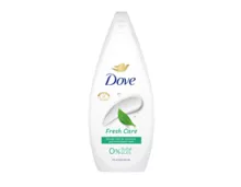 DOVE Duschgel XXL