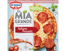 Dr. Oetker Pizza La Mia Grande Salame Piccante