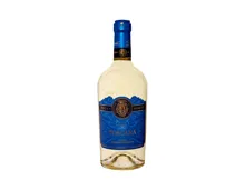 Duca di Sasseta Bianco IGT 2021