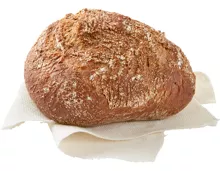 Dunkles Steinofenbrötchen