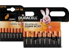 Duracell Plus Batterien AA oder AAA