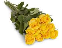 Edelrosen, Fairtrade