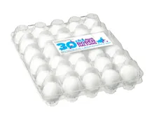 Eier