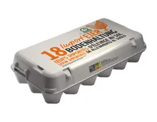 Eier aus Bodenhaltung XXL