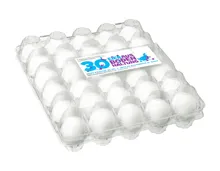 Eier