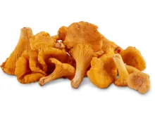 Eierschwämme