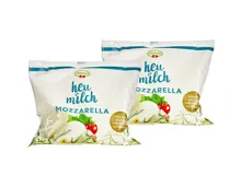 Einsiedler Heumilch Mozzarella 2x150g
