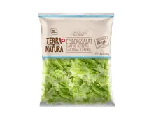 Eisbergsalat