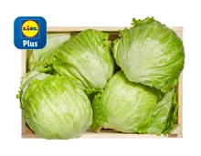 Eisbergsalat