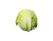 Eisbergsalat