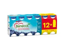 Emmi Benecol Heidelbeer 12x65ml