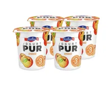 Emmi Joghurt Pur Aprikose 2x 150g
