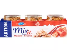 Emmi Müesli Mix-it